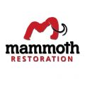 Mammoth Restoration of Arizona