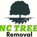 Carolina Tree Removal Pros of Raleigh