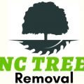 Carolina Tree Removal Pros of Charlotte