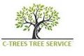 Pearland Tree Service Experts