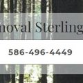 Tree Removal Sterling Heights
