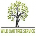 Tree Service Experts Austin