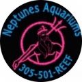 Neptunes Aquariums