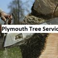 Plymouth Tree Service