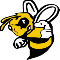 FirstChoice Bee Removal Phoenix