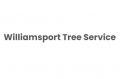 Williamsport Tree Service