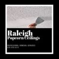Raleigh Popcorn Ceiling