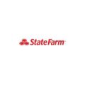 Doug Valentine - State Farm Insurance Agent