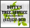 Duffy’s Tree Service Pittsburgh PA