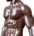 Exotique Men Male Strippers NYC