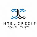 Intel Credit Consultants