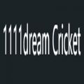 India dream11 Fantasy Team - 1111dream. com