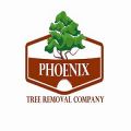 Phoenix Tree Removal Company