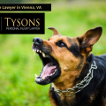 Dog Bite Lawyer in Vienna, VA | Tysons Personal Injury Lawyer
