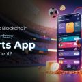 Why Use Blockchain in Fantasy Sports App Development?
