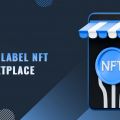 Full-fledged White Label NFT Marketplace services