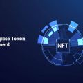Lead the industry leveraging the best NFT Token Development services