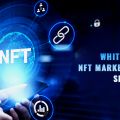Streamline your NFT business with White Label Marketplace Services
