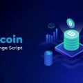 Leading Bitcoin Exchange Script Providers | Antier Solutions