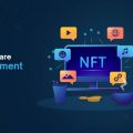 Leverage NFT software development services aligned to your business needs