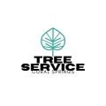 Coral Springs Tree Service