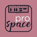 ProSpace Organizer