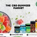 Cbd gummies