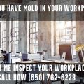 Mold in the Workplace and how to get a Mold Inspection
