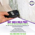 When is a mold inspection performed, and what might you expect to find?