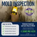 Top reasons why there is a need to hire a professional for scheduling a mold inspection