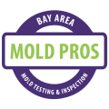 Understanding Mold Test Results and Choosing the Best Mold Services in San Francisco