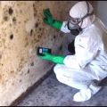 Mold on the wall: causes and solutions