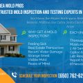 Mold Testing and Inspection Details: Ensuring a Healthier Home and Workplace with Bay Area Mold Pros
