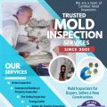 How to get rid of the mold problem from various places in your house in San Francisco Bay area