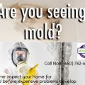 Few tricks that could help you prevent growing of molds in your bathroom or kitchen
