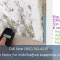 What Causes Mold Around the House & How To Deal With It