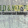 Preventing Mold growth in commercial and industrial buildings