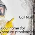 Get Rid of Snow Related Mold Issues