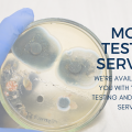 Bay Area Mold Pros- Professional Mold Testing Services For You
