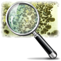 Mold Testing and Mold Inspection for residential and commercial properties in San Francisco