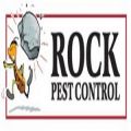 Rock Pest