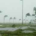 Stay Safe After a Hurricane or Other Tropical Storm
