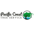 Santa Cruz Tree Service Experts
