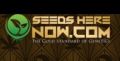 Best Feminized Seeds Online