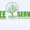 Tree Service in San Fernando Valley