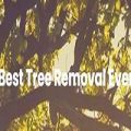 Best Tree Service Everett