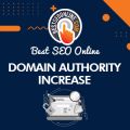 Domain Authority Increase