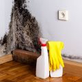 Houston Mold Removal