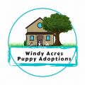 Windy Acres Puppy Adoptions