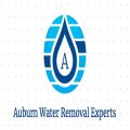 Auburn Water Removal Experts
